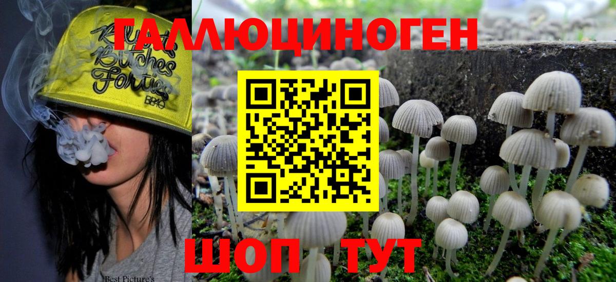 Всеволожск  Псилоцибиновые грибы прущие грибы  Вход с VPN 